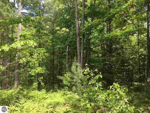 1729 N Fire Rd, Twining, MI 48766 photo 2