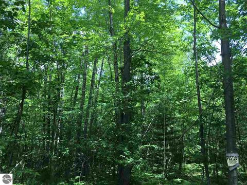 1729 N Fire Rd, Twining, MI 48766 photo 6