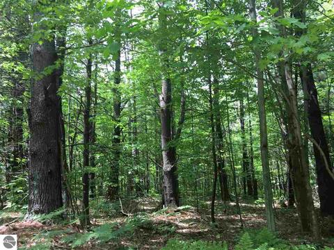 1729 N Fire Rd, Twining, MI 48766 photo 7