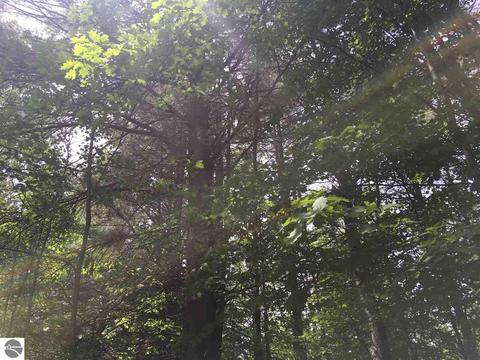 1729 N Fire Rd, Twining, MI 48766 photo 8