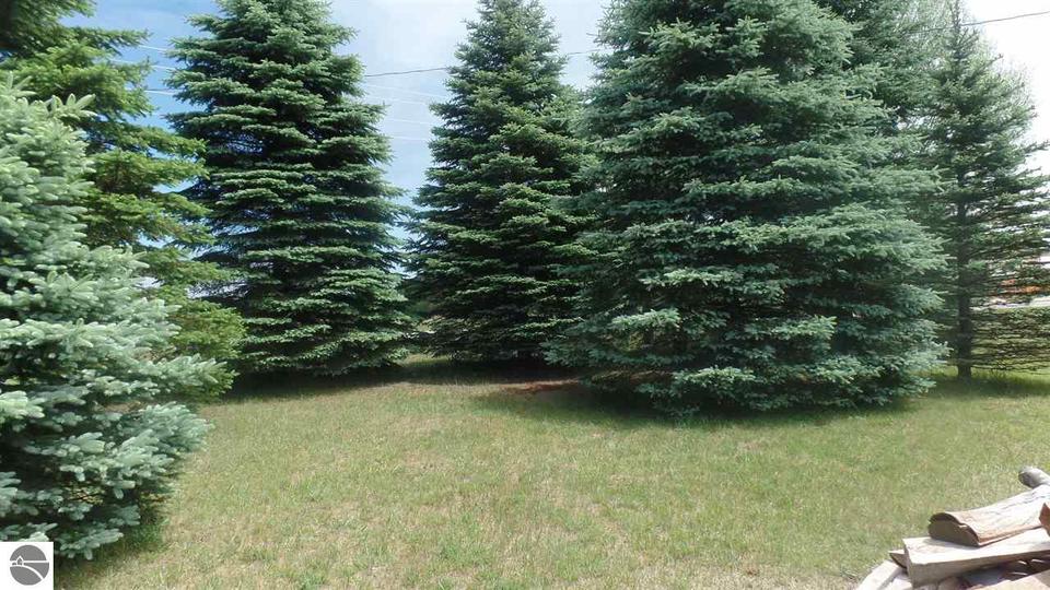  5742 S Coldwater Rd, Remus, MI 49340 photo 3