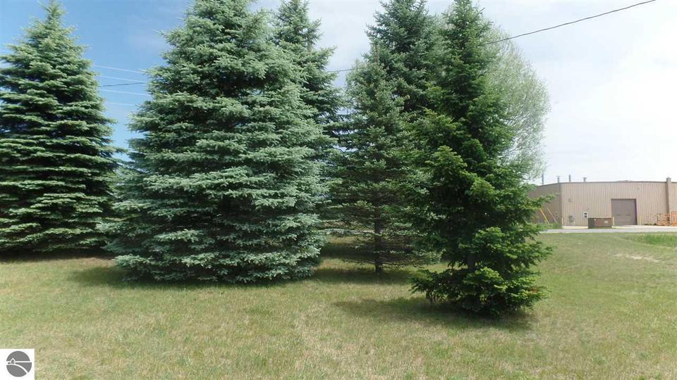  5742 S Coldwater Rd, Remus, MI 49340 photo 4