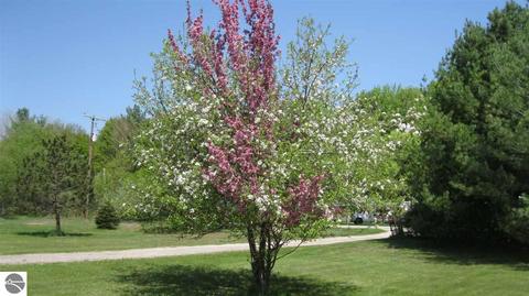 8500 E Baseline Rd, Mount Pleasant, MI 48858 photo 13