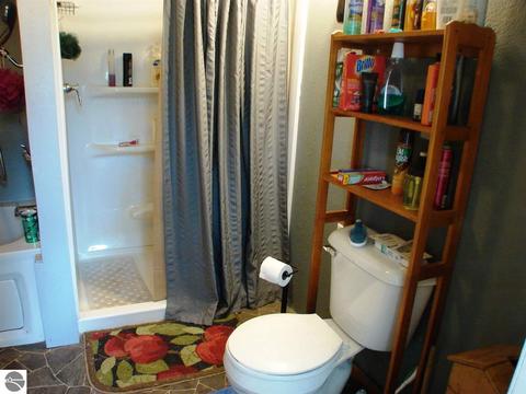 3449 S Blair Rd, Ithaca, MI 48847 photo 17