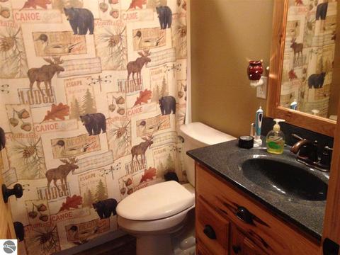4476 W Saint Charles Rd, Ithaca, MI 48847 photo 35