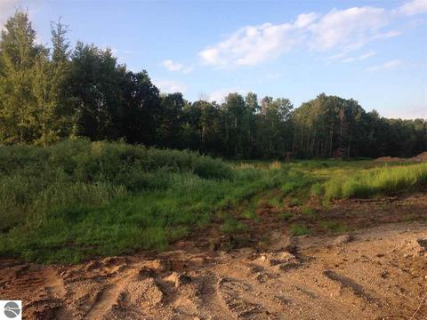 4476 W Saint Charles Rd, Ithaca, MI 48847 photo 55