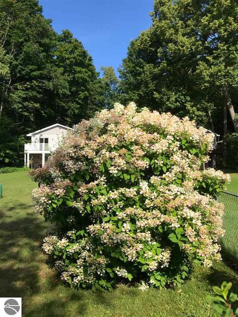 4299 E Shore Dr, Grawn, MI 49637 photo 5