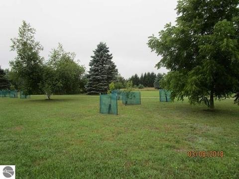9825 E Oak Rd, Clare, MI 48617 photo 14