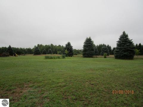 9825 E Oak Rd, Clare, MI 48617 photo 15