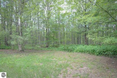 4594 S Tulick Dr, Boon, MI 49618 photo 47
