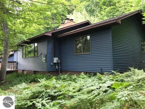 6445 E Lincoln Rd, Cedar, MI 49621 photo 4