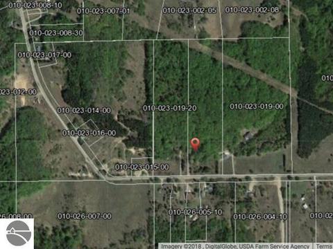 6445 E Lincoln Rd, Cedar, MI 49621 photo 22