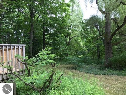 6445 E Lincoln Rd, Cedar, MI 49621 photo 17