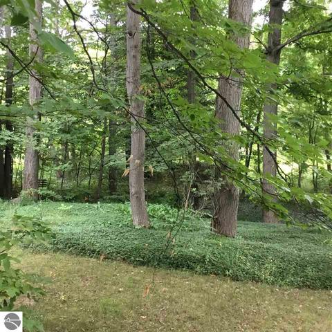 6445 E Lincoln Rd, Cedar, MI 49621 photo 19