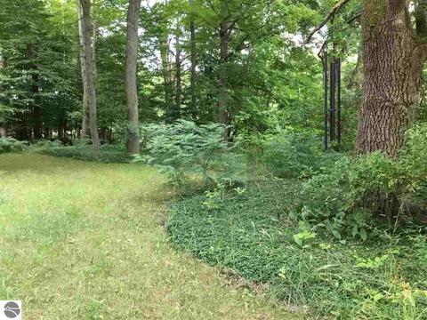 6445 E Lincoln Rd, Cedar, MI 49621 photo 16