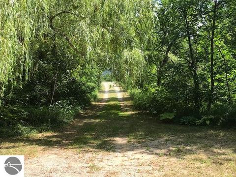 6445 E Lincoln Rd, Cedar, MI 49621 photo 5