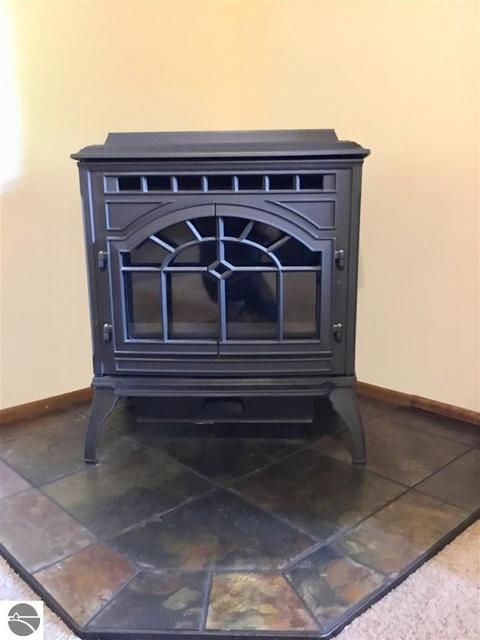 6445 E Lincoln Rd, Cedar, MI 49621 photo 8