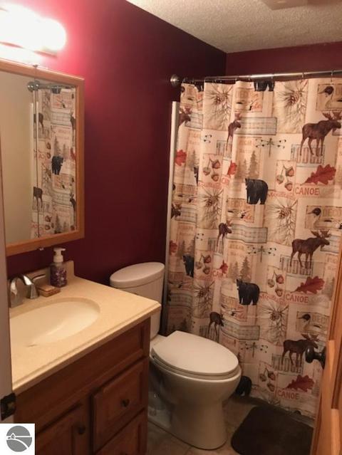 5631 S Wise Rd, Shepherd, MI 48883 photo 9