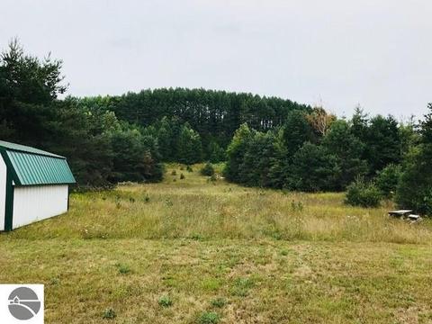10261 E M-42, Manton, MI 49663 photo 45