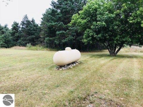 10261 E M-42, Manton, MI 49663 photo 49