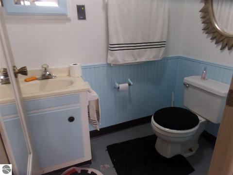 203 W Hall Rd, Shepherd, MI 48883 photo 23