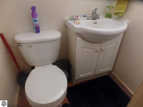 203 W Hall Rd, Shepherd, MI 48883 photo 24