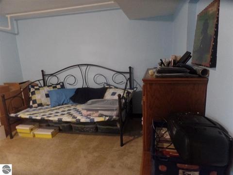 203 W Hall Rd, Shepherd, MI 48883 photo 20