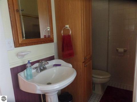 203 W Hall Rd, Shepherd, MI 48883 photo 22
