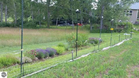 4457 E Gauthier Rd, Cedar, MI 49621 photo 3