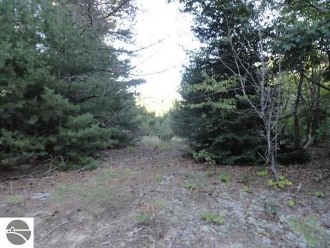 5670 Powers Rd, Alanson, MI 49706 photo 14
