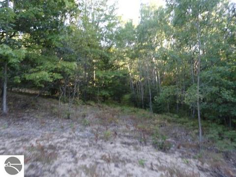 5670 Powers Rd, Alanson, MI 49706 photo 9