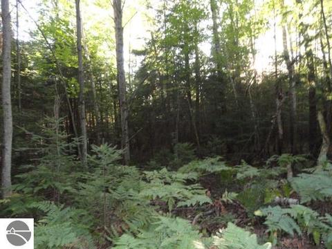 5670 Powers Rd, Alanson, MI 49706 photo 13