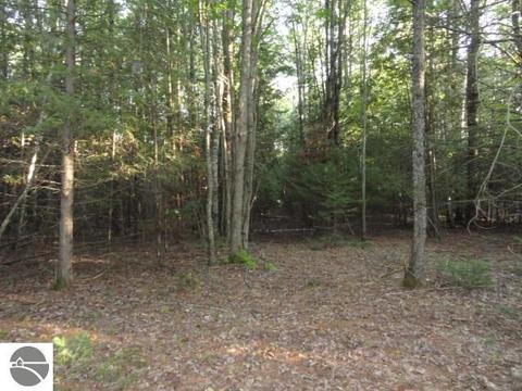 5670 Powers Rd, Alanson, MI 49706 photo 11