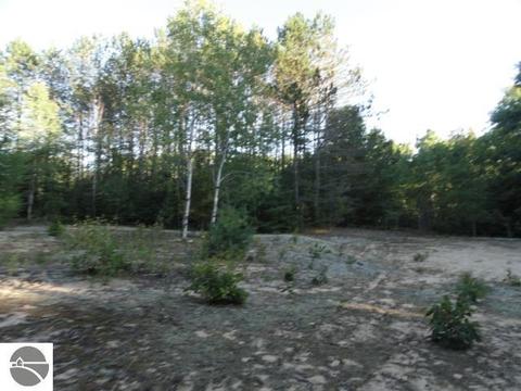 5670 Powers Rd, Alanson, MI 49706 photo 7