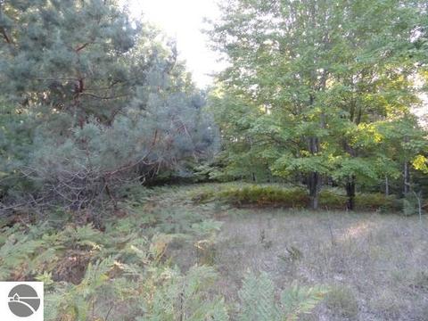 5670 Powers Rd, Alanson, MI 49706 photo 10