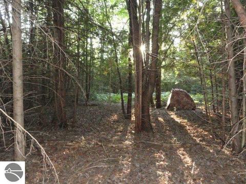 5670 Powers Rd, Alanson, MI 49706 photo 12