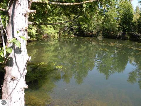 3595 Mcintosh Rd, Gladwin, MI 48624 photo 20