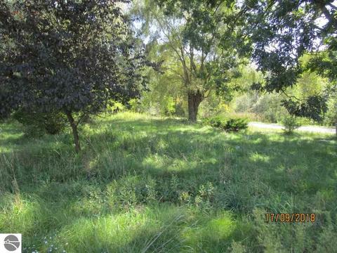 10305 E River Rd, Mount Pleasant, MI 48858 photo 33
