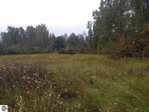 1091 N Walker Rd, Twining, MI 48766 photo 10
