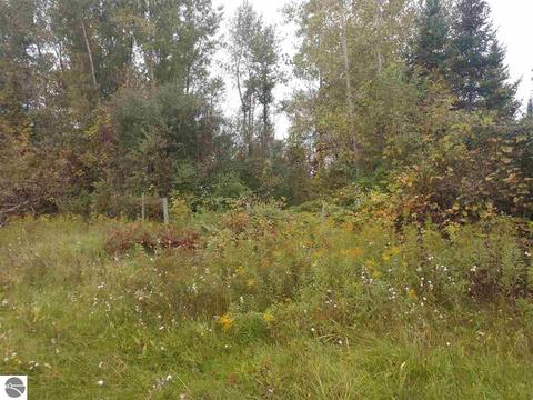 1091 N Walker Rd, Twining, MI 48766 photo 11