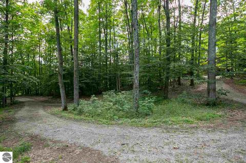 3131 E Kasson Rd, Cedar, MI 49621 photo 58