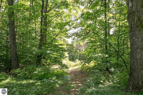 3131 E Kasson Rd, Cedar, MI 49621 photo 51