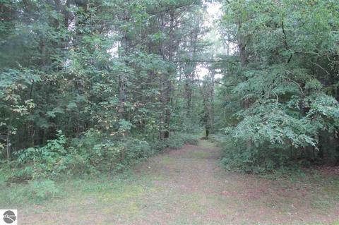 6130 E Deer Path, Evart, MI 49631 photo 8