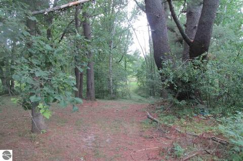 6130 E Deer Path, Evart, MI 49631 photo 3