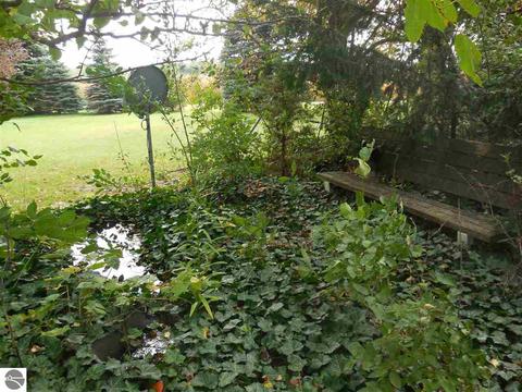 9377 E Olive Rd, Wheeler, MI 48662 photo 38