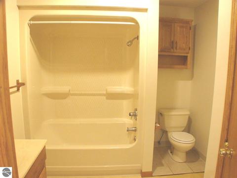 685 W Tyler Rd, Ithaca, MI 48847 photo 15