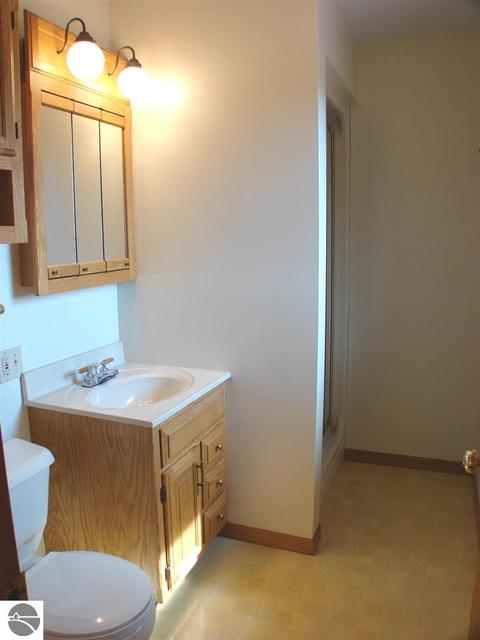 685 W Tyler Rd, Ithaca, MI 48847 photo 19