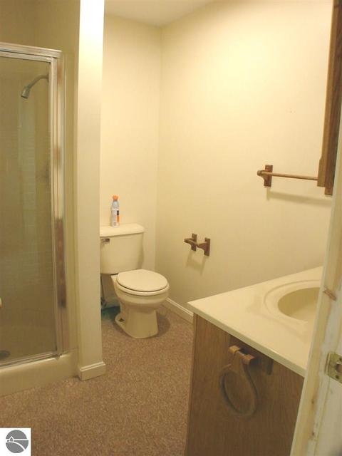 685 W Tyler Rd, Ithaca, MI 48847 photo 27
