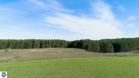 3595 E Gatzke Rd, Cedar, MI 49621 photo 7