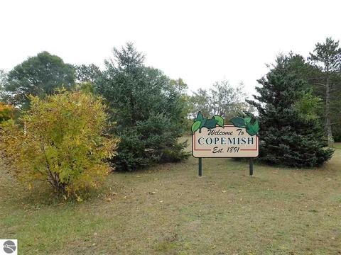 16981 Second St, Copemish, MI 49625 photo 37